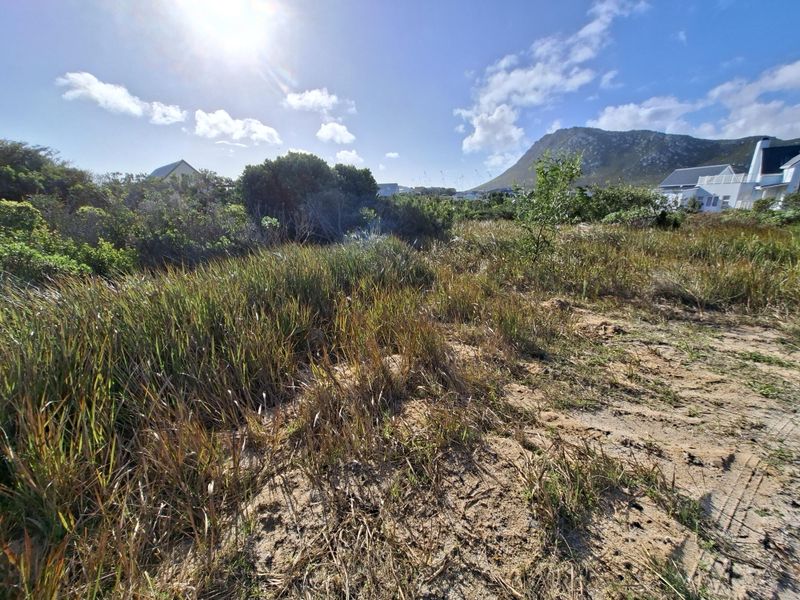 A view of a vacant residential plot featuring native coastal vegetation and sandy terrain with mountain views in the background.