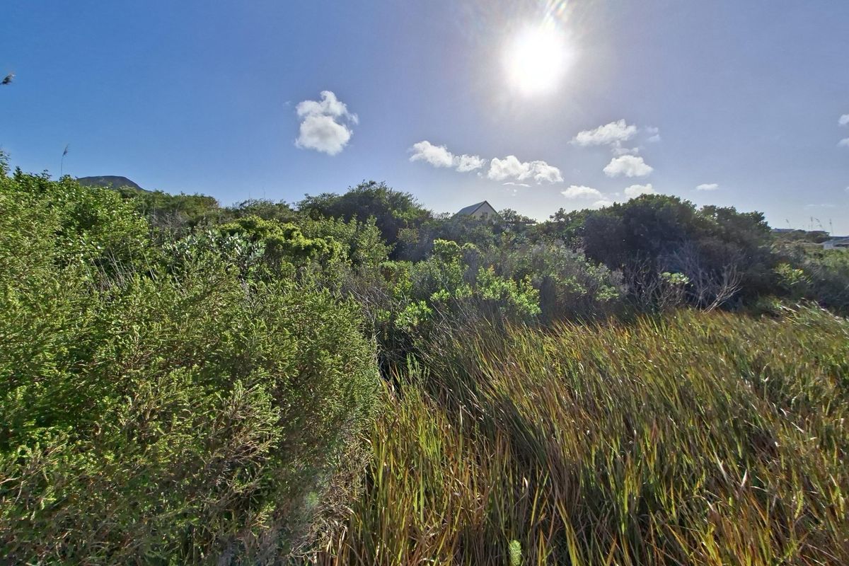 A view of the natural, undeveloped landscape featuring native shrubs and grasses on the residential plot.