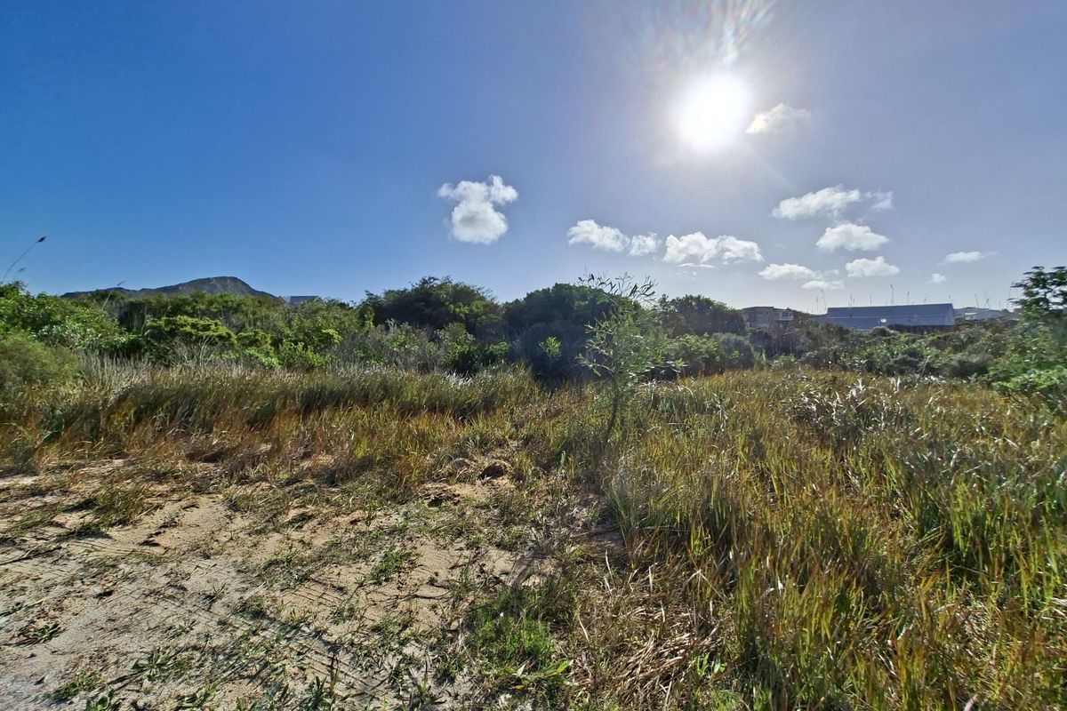A view of a vacant residential plot featuring natural indigenous vegetation and sandy terrain under a clear sky.