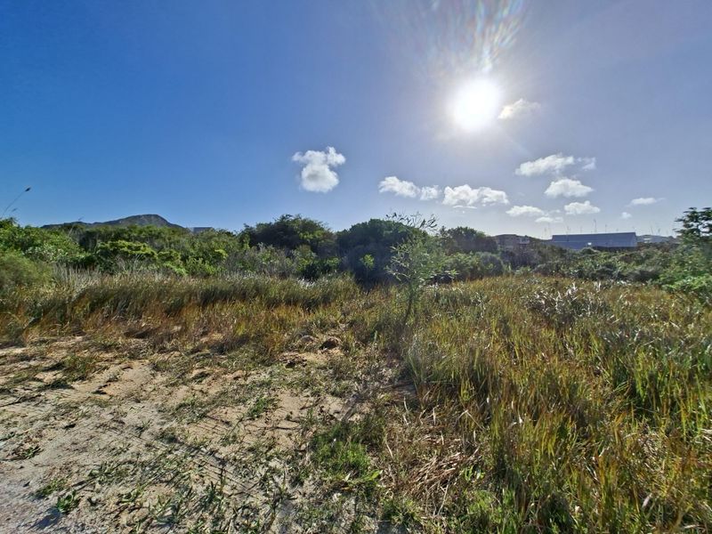 A view of a vacant residential plot featuring natural indigenous vegetation and sandy terrain under a clear sky.
