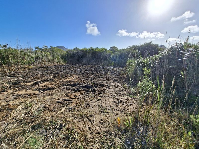 A view of an undeveloped, waterlogged residential plot featuring natural vegetation and uncultivated soil.