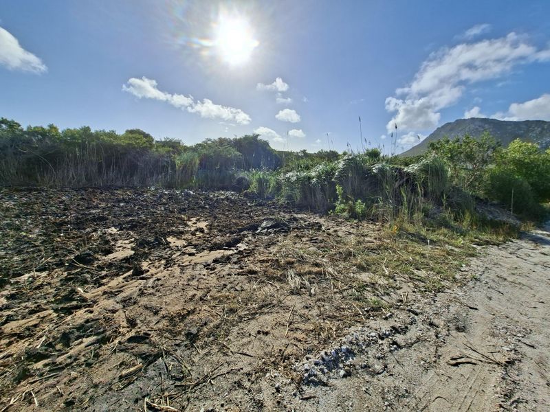 A view of a vacant residential plot featuring natural vegetation and an unpaved access path under a bright sky.