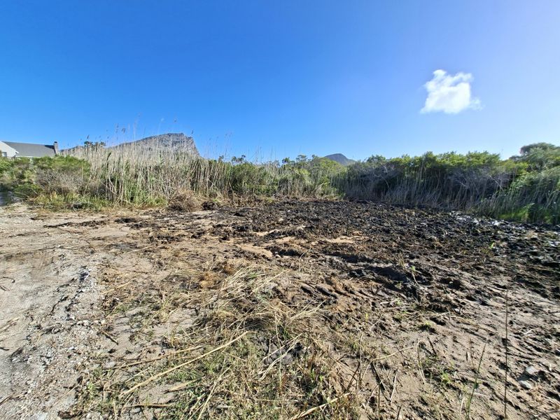 A vacant residential plot featuring natural vegetation, reeds, and uneven ground with mountain views in the background.