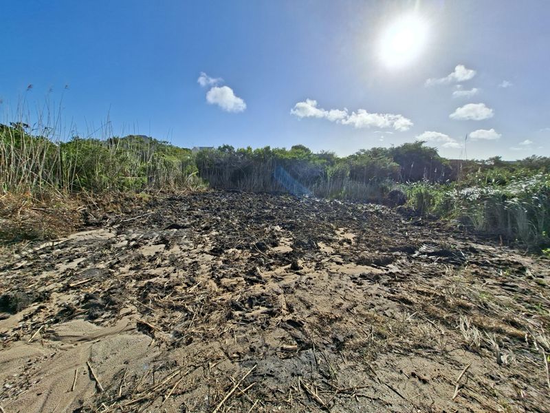A view of an undeveloped residential plot featuring natural sandy terrain and surrounding wild vegetation under a clear sky.