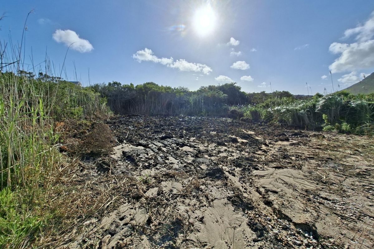 A view of an unimproved, sandy residential plot featuring natural vegetation and uneven ground conditions.