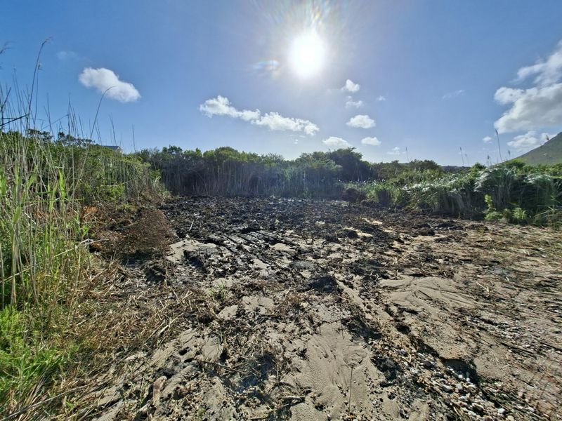 A view of an unimproved, sandy residential plot featuring natural vegetation and uneven ground conditions.