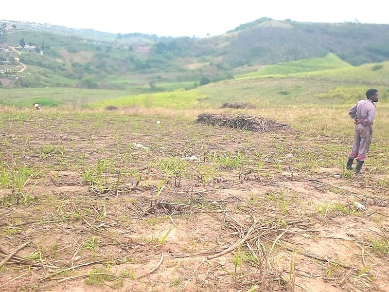 Expansive view of the rural farm landscape featuring rolling hills and cleared agricultural land.