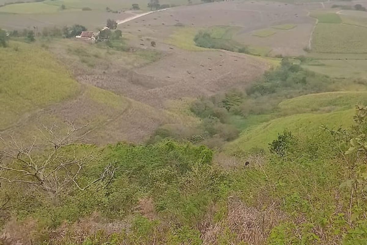 Expansive landscape view overlooking rolling hills and rural farmland terrain.