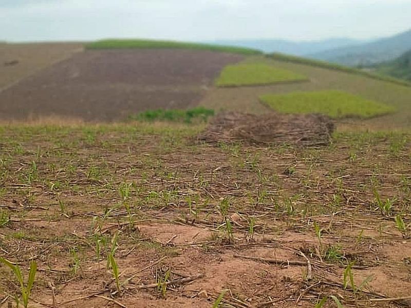 A wide-angle view of open farmland with rolling hills and cultivated fields under an overcast sky.