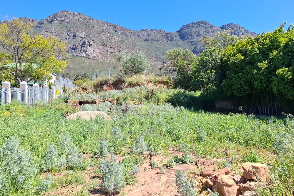 A vacant residential plot featuring natural vegetation, perimeter fencing, and a scenic mountain backdrop, offering potential for development.