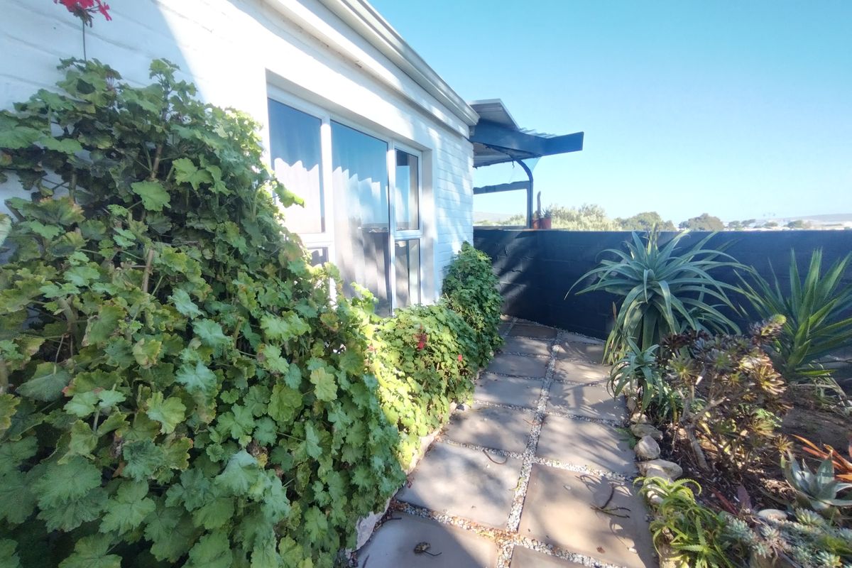 A side garden path featuring paved stepping stones, established greenery, and a painted brick exterior wall with aluminium window frames.