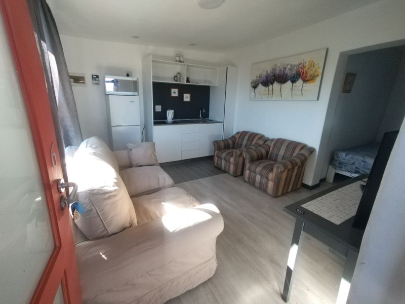 Open-plan living area featuring a compact kitchenette with built-in cabinetry and sink, finished with light-toned laminate flooring.