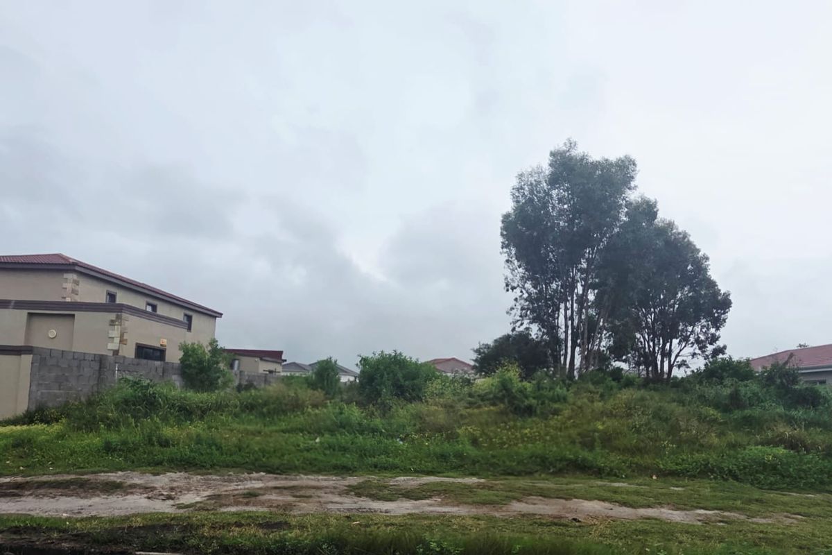 A vacant residential plot featuring natural vegetation and a boundary wall, situated in an established neighborhood.