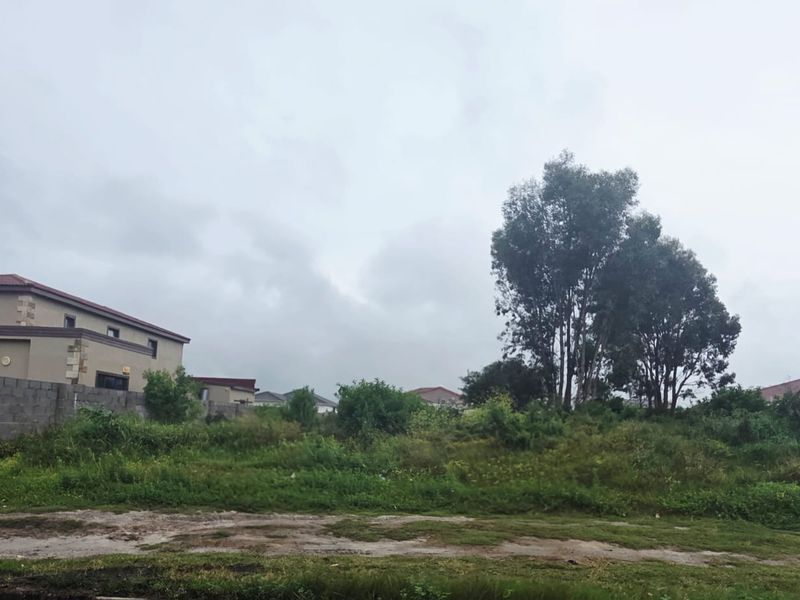 A vacant residential plot featuring natural vegetation and a boundary wall, situated in an established neighborhood.