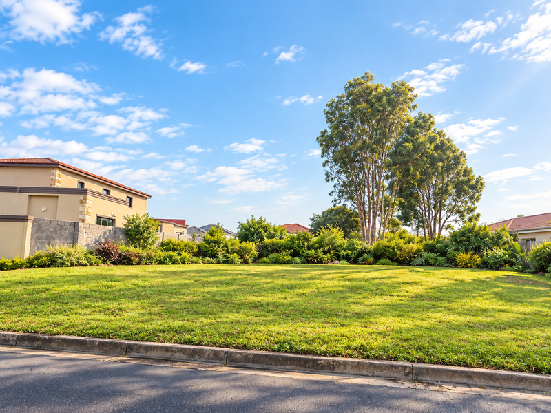 A well-maintained vacant residential plot featuring a level grass lawn, established boundary wall, and mature trees in a quiet neighborhood setting.