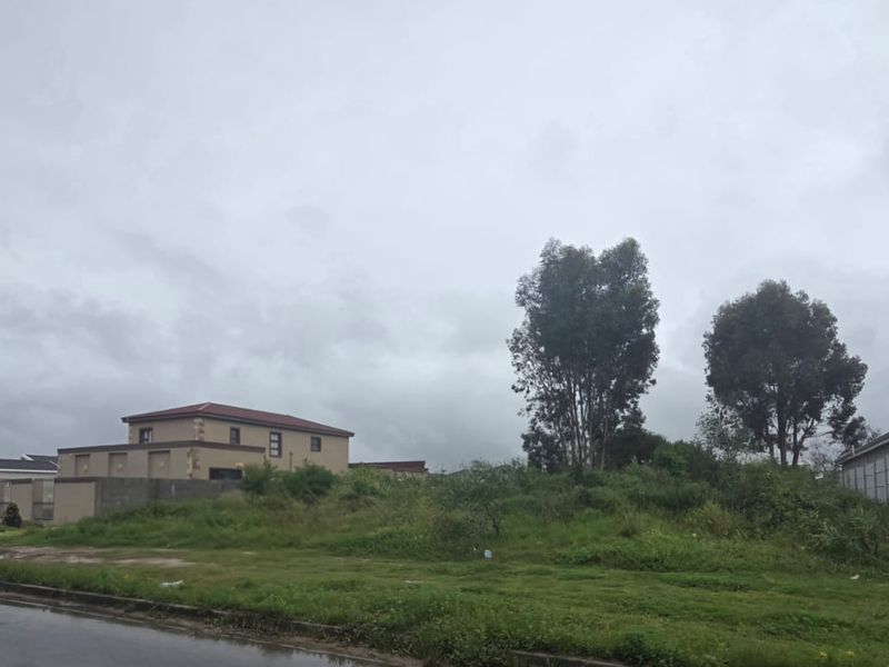 A vacant residential plot situated in a developed neighborhood, featuring established boundary walls and direct access to a paved street.