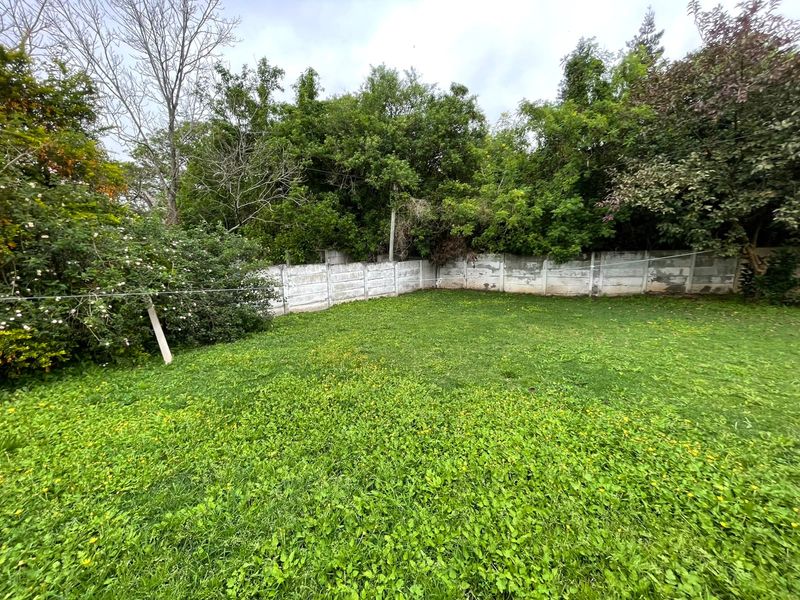 A spacious backyard featuring a large lawn area enclosed by a precast concrete boundary wall, surrounded by mature trees and overgrown garden foliage.