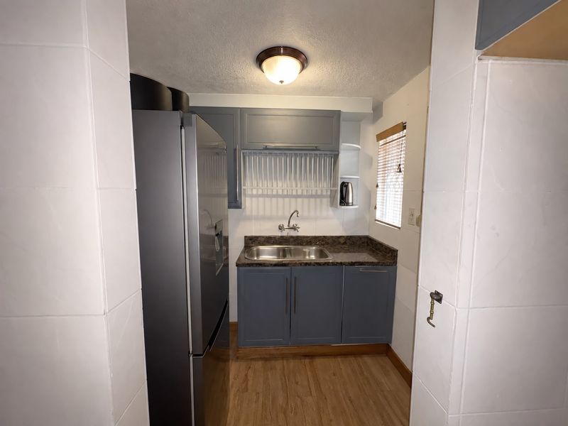A compact, functional scullery featuring grey cabinetry, a double sink, tiled splashbacks, and wood-look flooring, providing efficient additional prep and wash-up space.