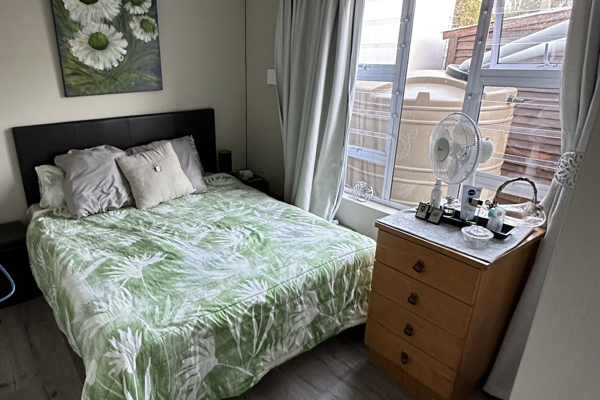 A functional bedroom featuring laminate flooring, a ceiling rose, and large windows providing natural light.