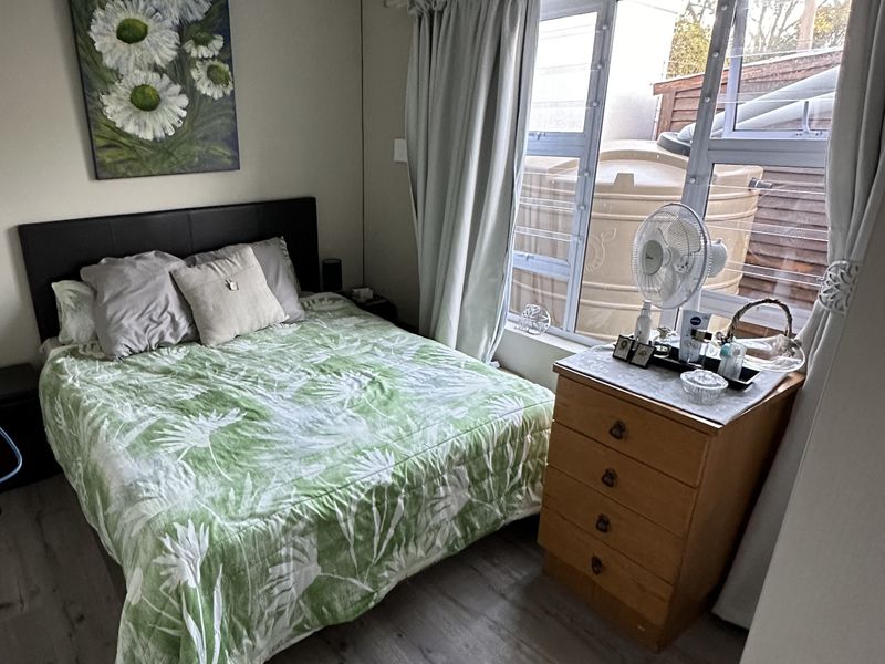 A functional bedroom featuring laminate flooring, a ceiling rose, and large windows providing natural light.