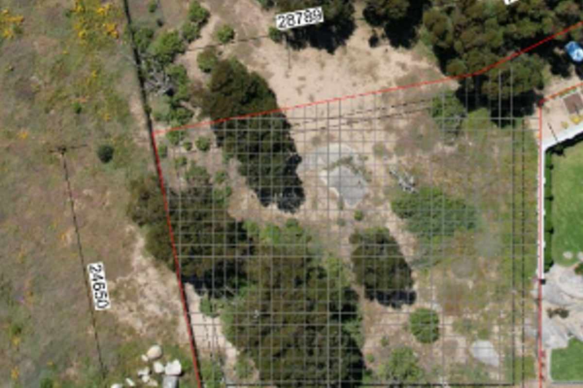 Aerial view of a vacant residential plot featuring established trees and defined boundary lines.
