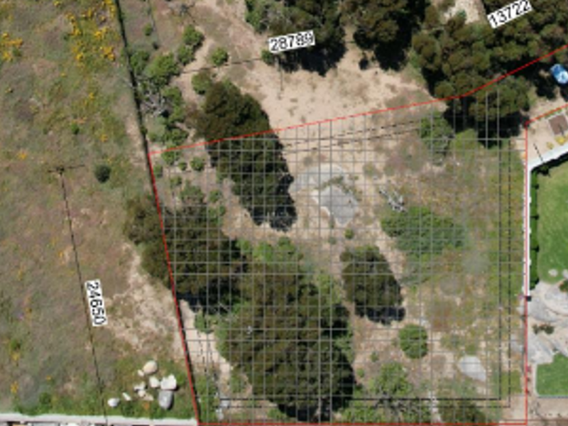 Aerial view of a vacant residential plot featuring established trees and defined boundary lines.