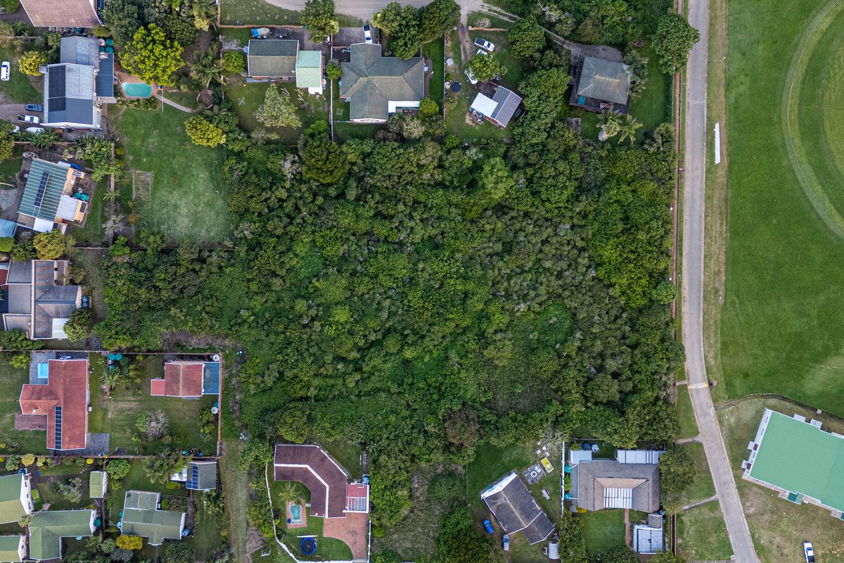 Aerial view of a vacant residential plot densely covered with established vegetation, situated within an established suburban neighborhood.