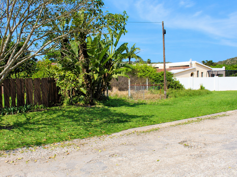 A view of a residential vacant plot featuring a grass lawn, mature trees, and a wooden fence boundary along a gravel road.