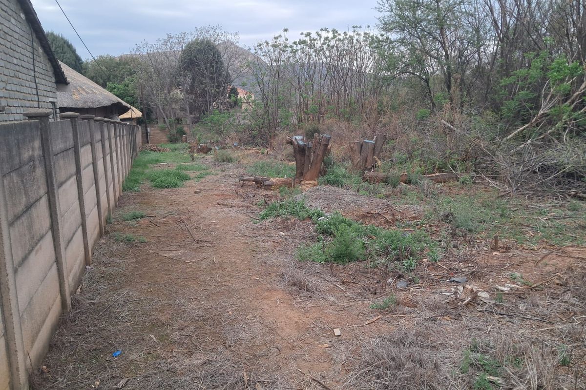 A vacant residential plot featuring a precast concrete boundary wall and natural, overgrown vegetation with cleared tree stumps.