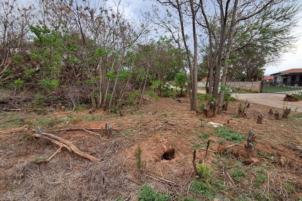 A vacant residential plot featuring mature trees, cleared vegetation, and an existing boundary fence, offering a blank canvas for future development.