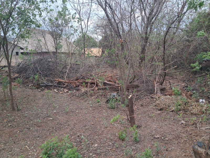 PRIME VACANT LAND FOR SALE IN OLIFANTSNEK - MAGALIESBERG LIFESTYLE - Photo 10