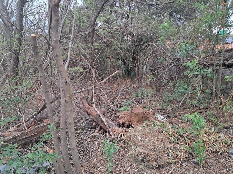 PRIME VACANT LAND FOR SALE IN OLIFANTSNEK - MAGALIESBERG LIFESTYLE - Photo 9