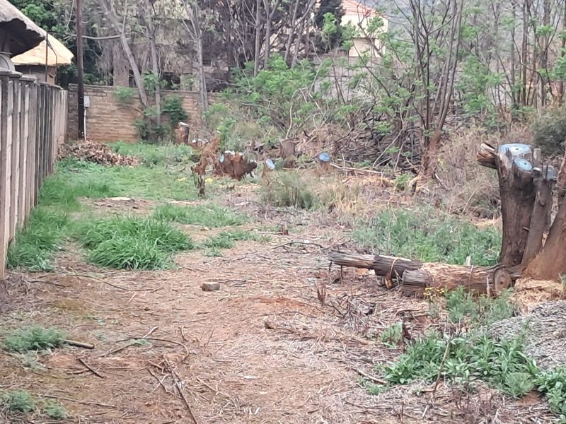 PRIME VACANT LAND FOR SALE IN OLIFANTSNEK - MAGALIESBERG LIFESTYLE - Photo 7