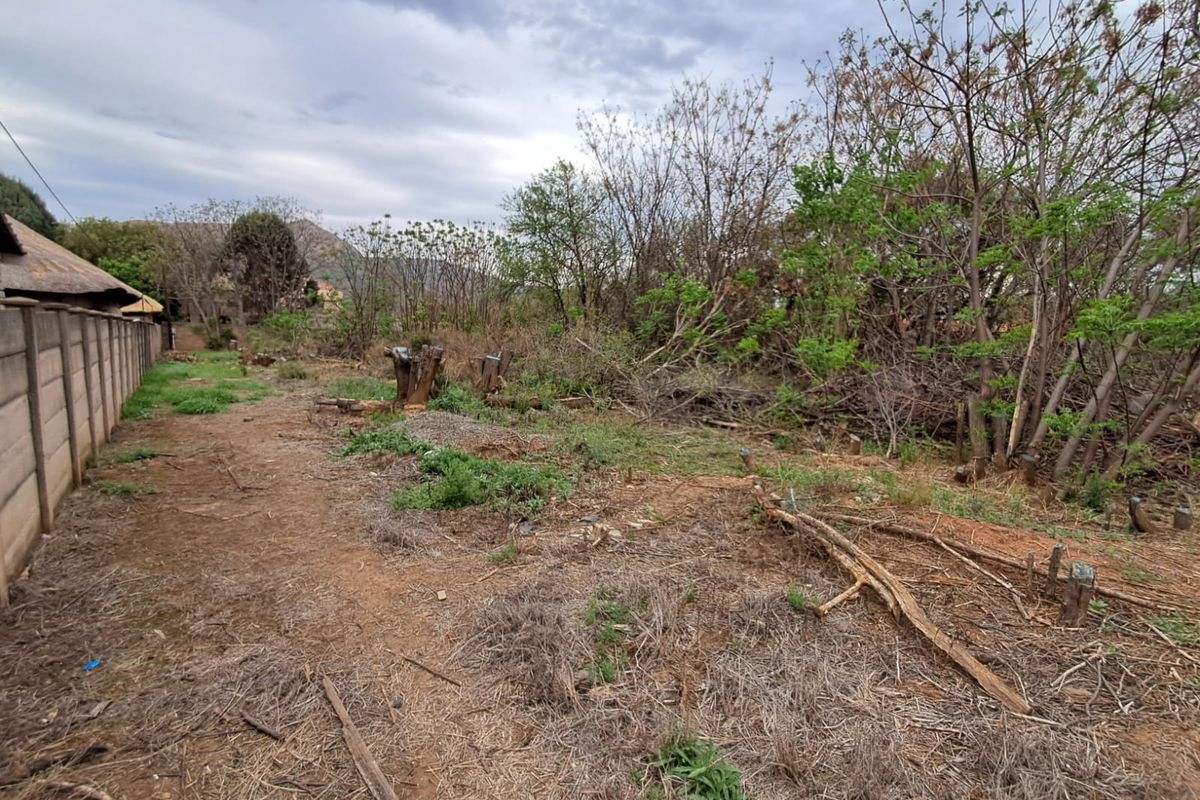 A view of a vacant residential plot featuring a boundary wall and significant overgrown vegetation requiring clearing.