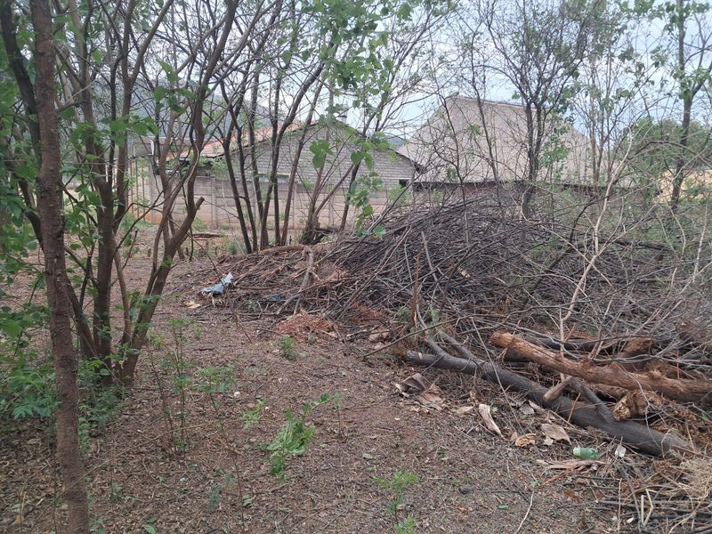 PRIME VACANT LAND FOR SALE IN OLIFANTSNEK - MAGALIESBERG LIFESTYLE - Photo 4
