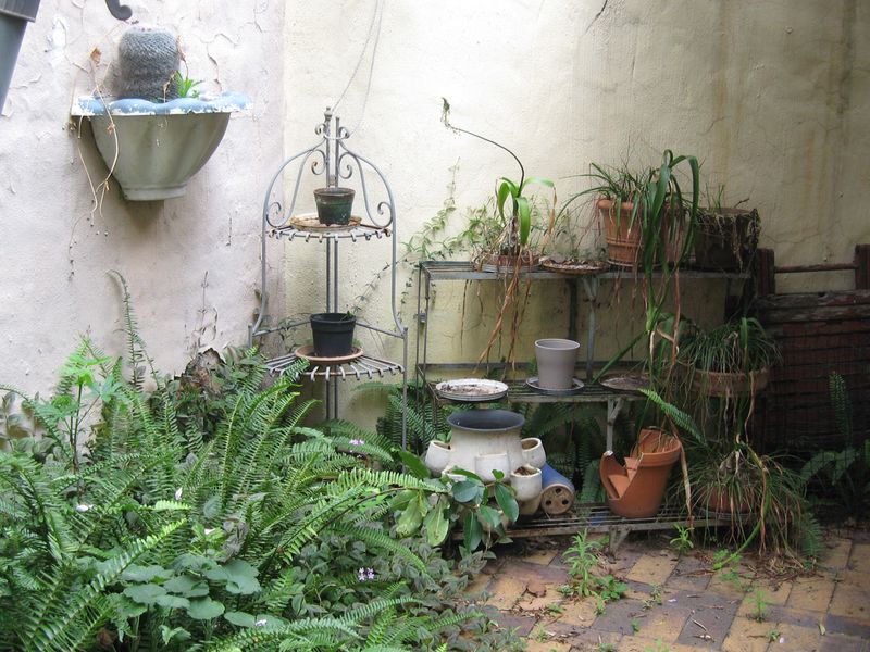 A small rear courtyard area featuring brick paving and plastered walls showing signs of weathering and surface deterioration.