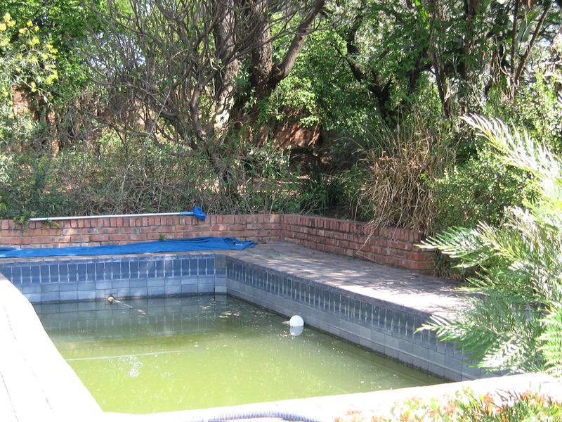 Outdoor pool area featuring a brick retaining wall and paved surround, currently requiring significant maintenance and water treatment.