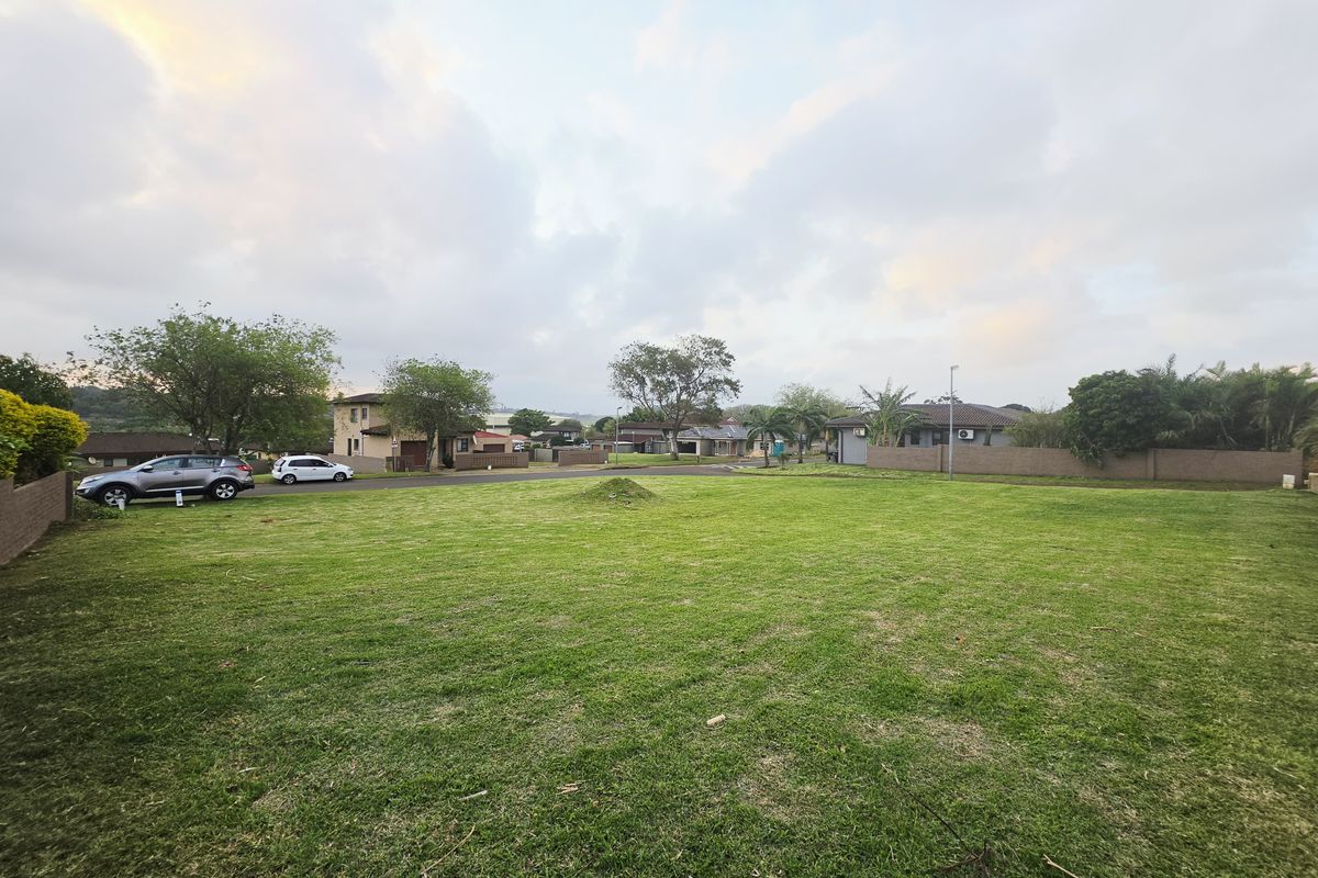A wide-angle view of a vacant residential plot featuring a well-maintained lawn and surrounding boundary walls in a quiet neighborhood setting.