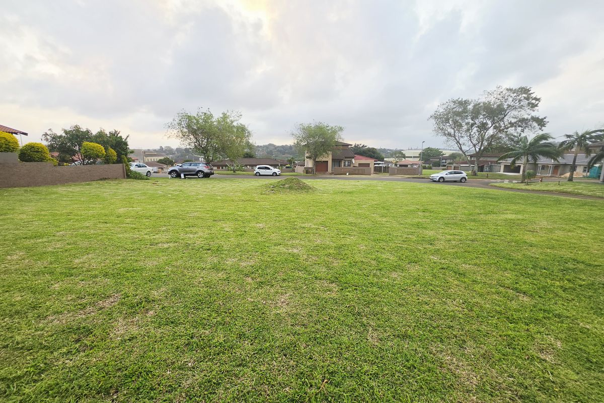 A wide-angle view of a vacant residential plot featuring a well-maintained lawn and boundary wall, situated in a developed suburban neighborhood.