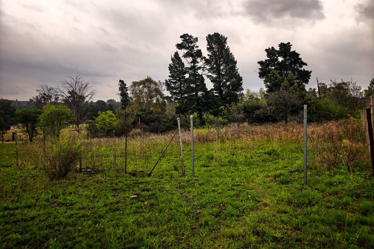 A view of a vacant residential plot featuring overgrown grass, mature trees, and partially damaged wire fencing.