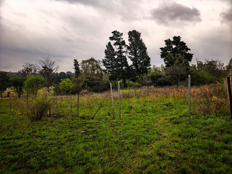 991m2 Vacant Land for Sale in Ohenimuri - Photo 5