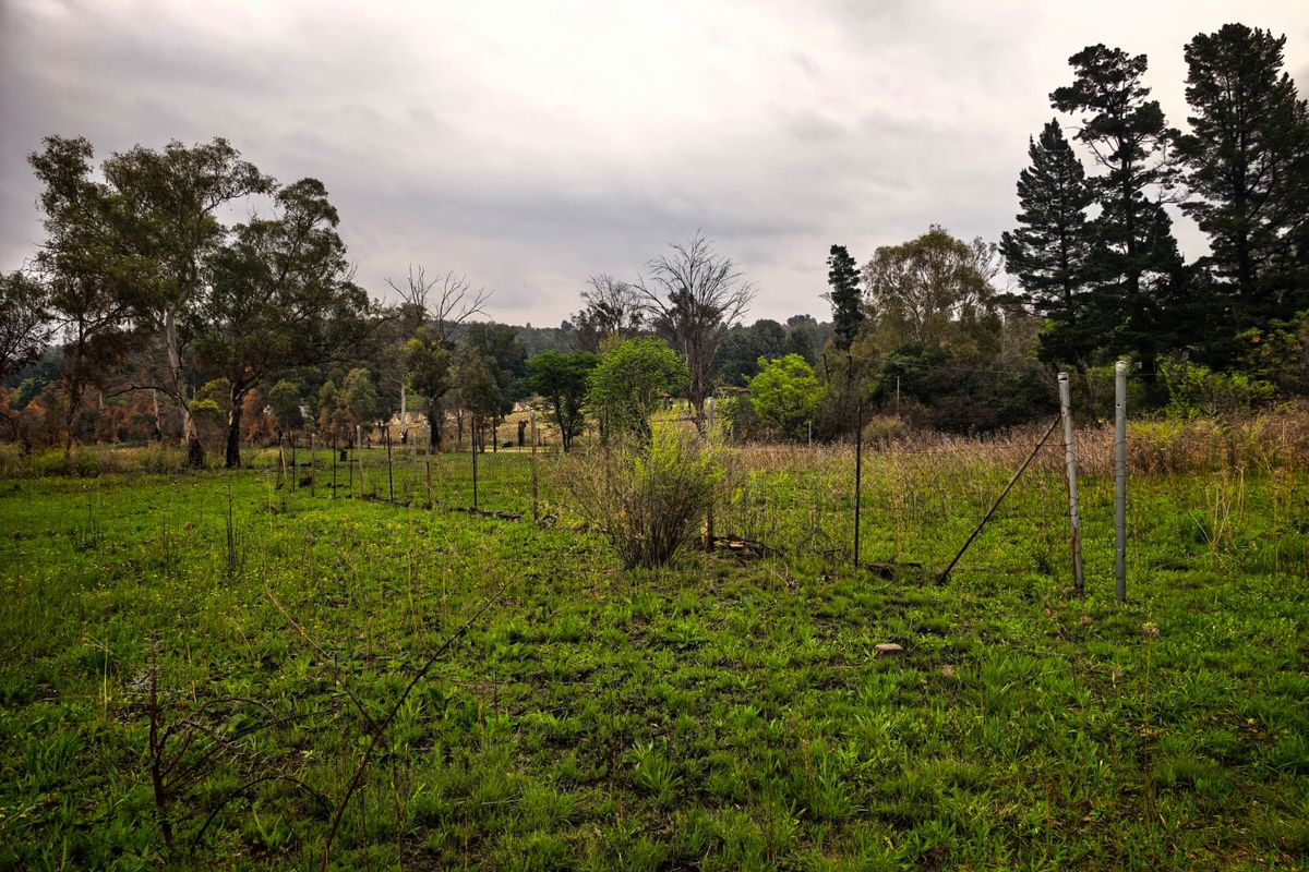 A view of a vacant residential plot featuring natural vegetation, mature trees, and existing wire perimeter fencing.