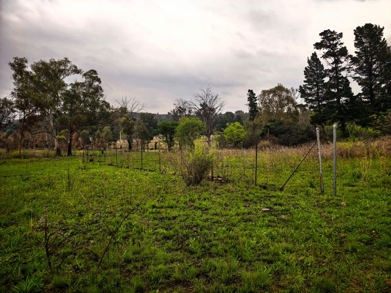991m2 Vacant Land for Sale in Ohenimuri - Photo 4
