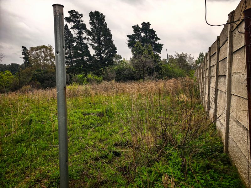 991m2 Vacant Land for Sale in Ohenimuri - Photo 6