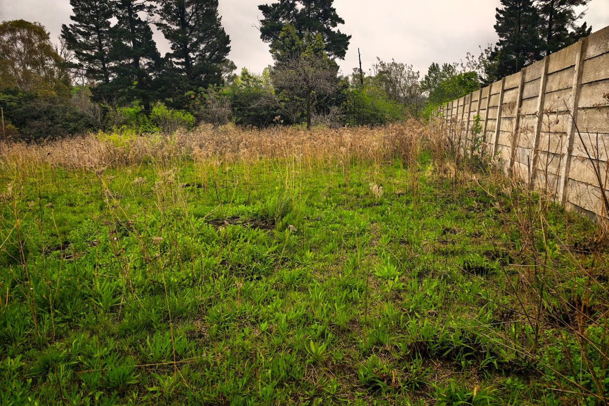 A vacant residential plot featuring overgrown natural vegetation and a precast concrete boundary wall, offering a blank canvas for future development.