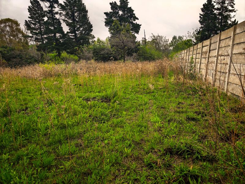 991m2 Vacant Land for Sale in Ohenimuri - Photo 2