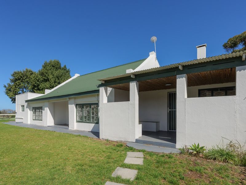 Rear view of a house featuring a covered patio with timber ceiling, corrugated metal roof, and a spacious lawn area.