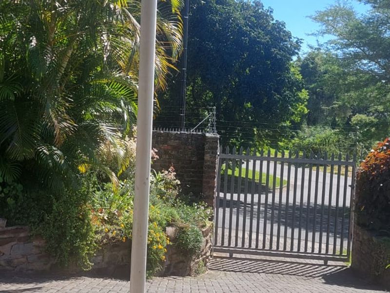 A view from a covered patio looking out towards the paved driveway, metal security gate, and established garden boundary.