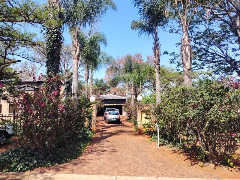 A paved driveway leading to a garage, framed by mature palm trees and established garden landscaping.