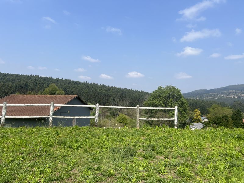 Rare Opportunity in the Quiet Side of Ferncliffe - Photo 4